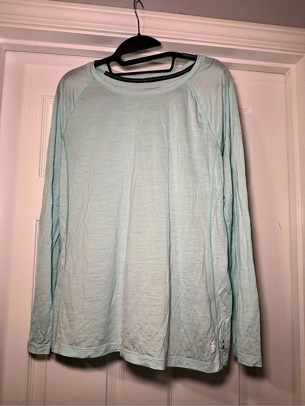 Smartwool L Merino 250 Women's Long Sleeve Tee Wool Mint Hiking Outdoor